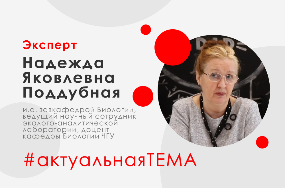 Эксперты ЧГУ прокомментировали создание карбоновой фермы