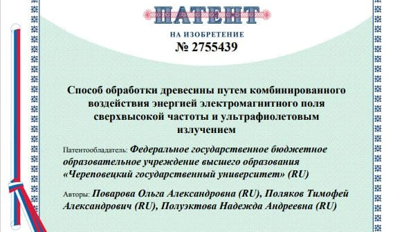 Студенты ЧГУ получили патент на изобретение способа обработки древесины